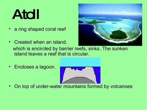 Coral Reefs | PPT