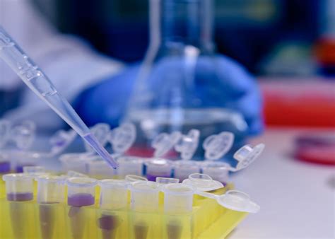 Image result for How Math Was Invented