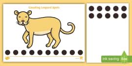 What is the Leopard? - Answered - Twinkl Teaching Wiki