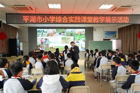 多彩课堂 魅力综合——记平湖市小学综合实践活动课堂教学展示