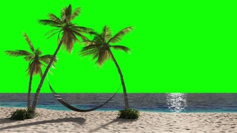 Beach Green screen 的图像结果