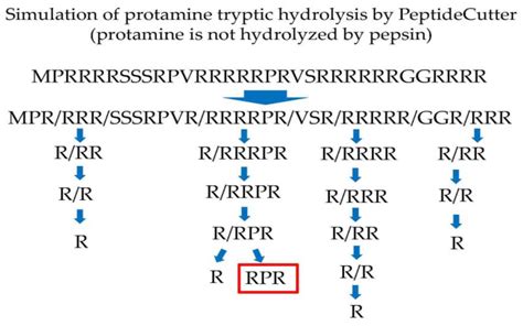 Anti-Obesity and Hypocholesterolemic Actions of Protamine-Derived ...