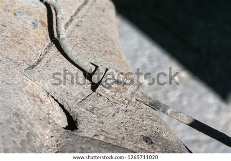 Image result for Rusty Brakelines Tips