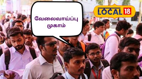 Job Fair 2024: நாளை தனியார் துறை வேலைவாய்ப்பு முகாம்... மிஸ் ...