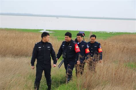 永修水警：守护鄱阳湖候鸟的卫士_腾讯新闻