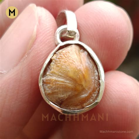 Machmani Stone: Benefits, Remedies, Activation & Buying Guide (2025 ...