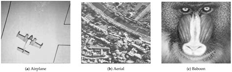 Multi-Layered Security Framework Combining Steganography and DNA Coding