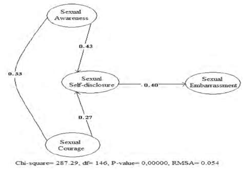 Sklearn Structural Equation Model 的图像结果