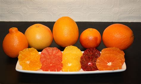 Orange Varieties Everyone Should Be Eating More - Citrus.com | Orange ...