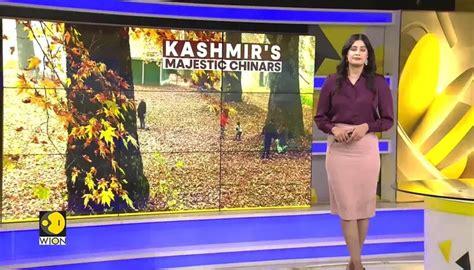 Kashmir’s Chinar Trees Undergo Stunning Transformation, Draw Massive ...