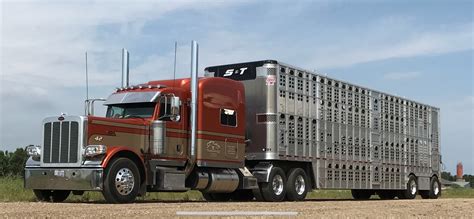 Livestock Dispatch Service... - Livestock Dispatch Service