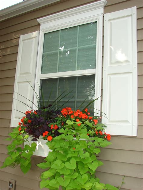 Summer Window Box Flowers