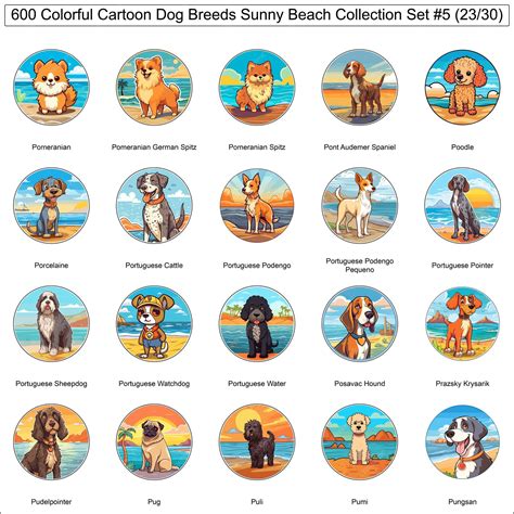 Colorful Dog Breeds Cartoon Characters Sunny Beach Bundle Collection ...