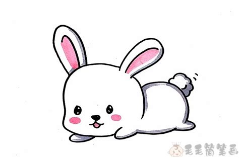 小白兔简笔画,兔子的简单画法 - 毛毛简笔画