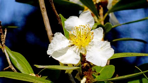 Green Hong Kong Campaign - Greening Knowledge - Photo-Gallery of Hong ...