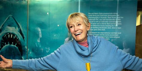 Valerie Taylor: An Underwater Life | Australian National Maritime Museum