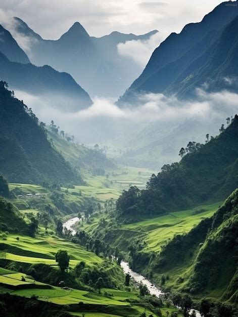 West Java 的图像结果