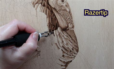 Image result for Pyrography Made Easy Tutorials