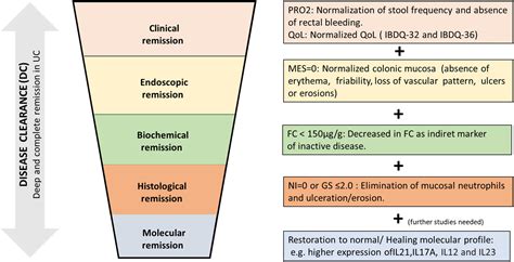 Frontiers | Disease clearance in ulcerative colitis: Setting the ...