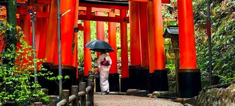 [Kyoto & Nara & Fushimi Inari Shrine Day Trip] Arashiyama Train & Nara ...