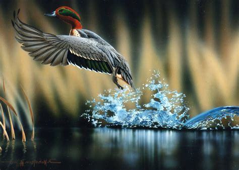 Nature Birds 的图像结果