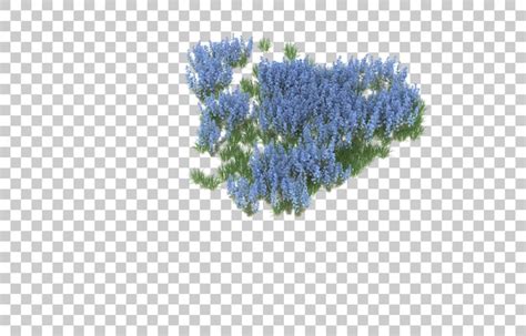 Champ de fleurs sur fond transparent. rendu 3d - illustration | PSD Premium