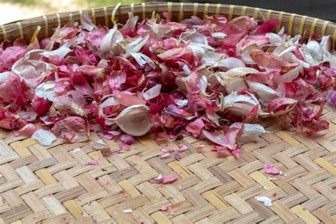 manfaat kulit bawang bombay