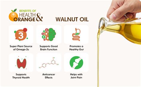 H&O Walnut Oil - 100% Pure Cold Pressed Edible Akhrot Ka Tel - 100ml ...