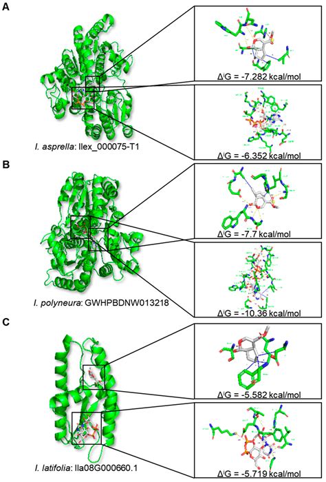 Impact of Chromosomal Fusion and Transposable Elements on the Genomic ...