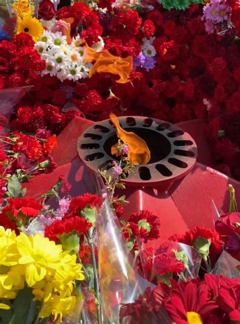 Шествие, концерты, полевая кухня. Как отметят 80-летние Победы в ...