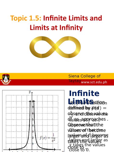 Infinity Limit Examples 的图像结果