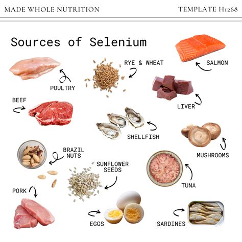 Image result for Selenium Food Sources