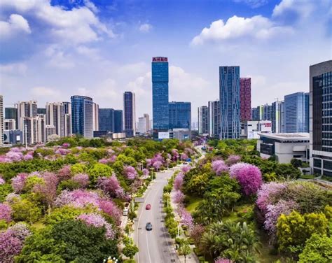 柳州市获批成为全国首批产教融合试点城市-国际在线