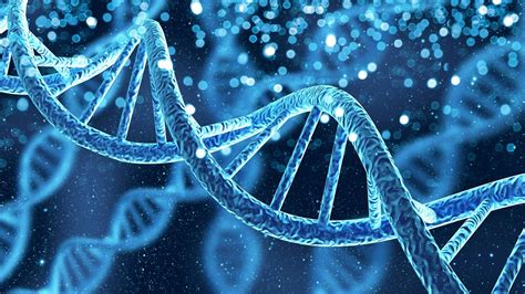 Image result for Genetics Algorithm Define