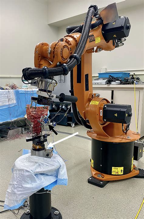 Body Testing Robot 的图像结果