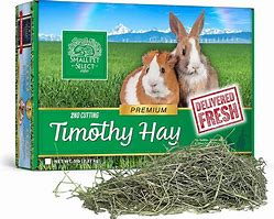 Image result for Timothy Hay for Rabbits