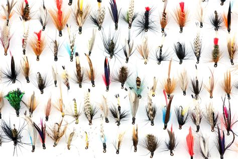 Image result for Trout Fly Patterns Free