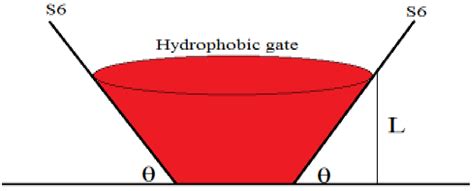 Quantum Tunneling of Ions through the Closed Voltage-Gated Channels of ...