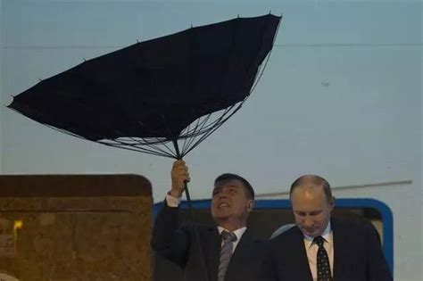 我们撑了3500年的伞，被61岁的英国大叔彻底颠覆，这才是雨伞该有的样子··· _ 药最网 - www.yaozui.com