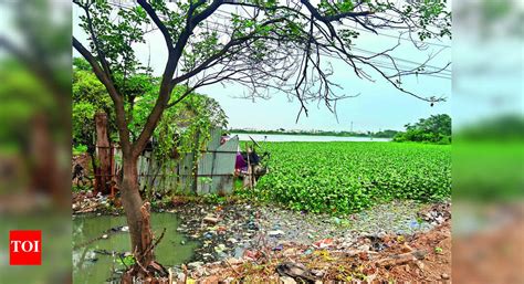 Garbage Dumping: Garbage dumping at Nanmangalam lake sparks protests in ...