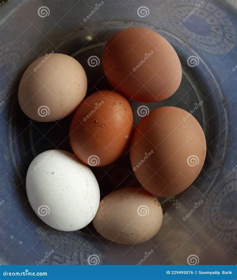 Different Types of Eggs and Many Colors Stock Photo - Image of dessert ...