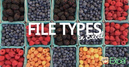 Image result for Excel File Type