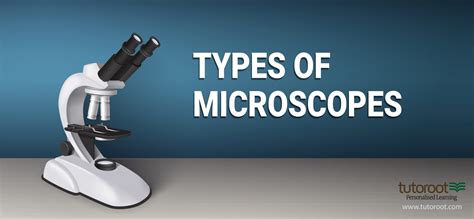Types of Microscopy 的图像结果