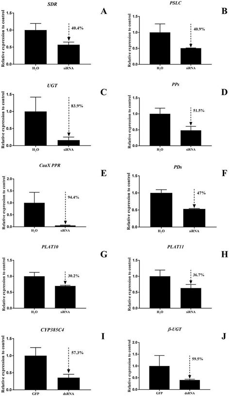 Uridine Diphosphate Glycosyltransferases (UGTs) Involved in the ...