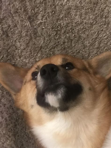 50 Absolutely Hilarious Items That Made These People’s Homes All The ...