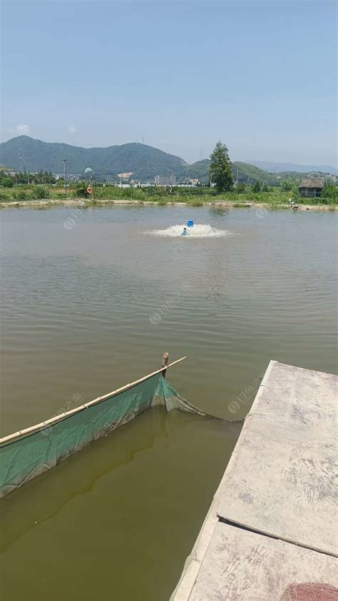 谷伟垂钓_谷伟垂钓地址_谷伟垂钓电话 - 钓鱼之家