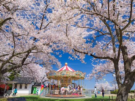 Japan's Three Most Scenic Spots: Amanohashidate, Ine Funaya, and Ine ...