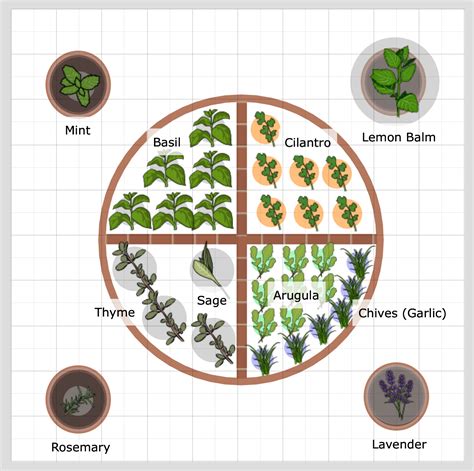 Herb Garden Plans For Beginners