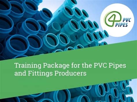 Module 4 PVC Training 的图像结果