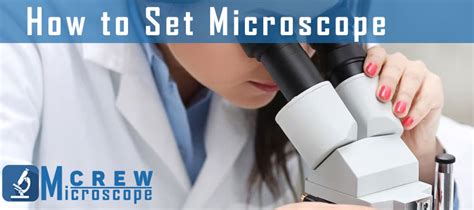Image result for USB Microscope Setup
